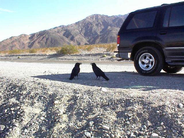 Im Schatten des Explorers