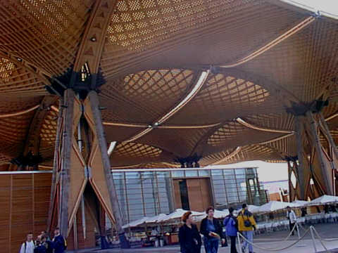 Ob Noah uns mitnehmen wrde?