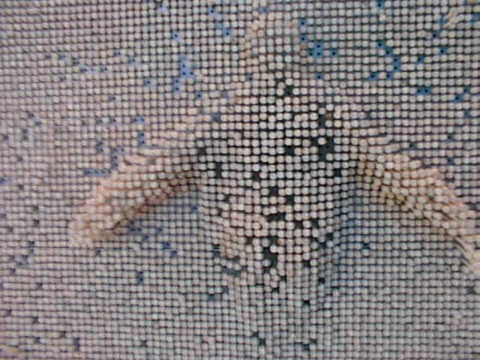 ... brasilianischer Trick.