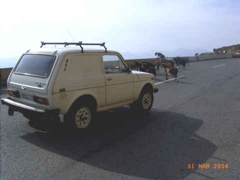 stlich von Naupaktos